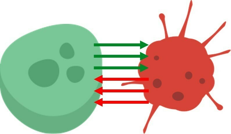 Imgpsh fullsize anim