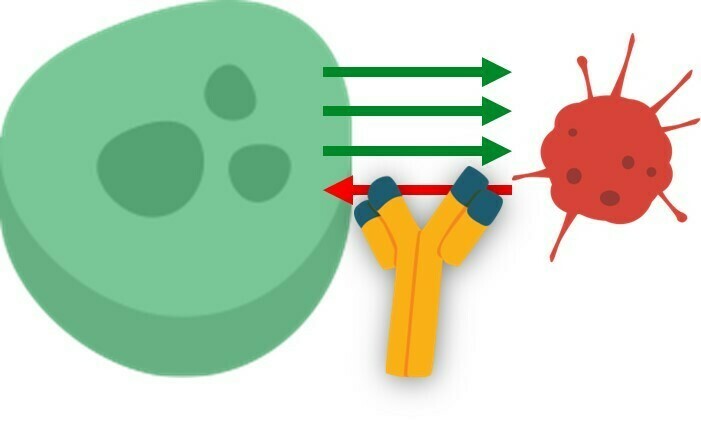 Imgpsh fullsize anim  1 